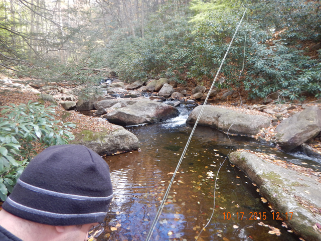 DSCN0739.jpg -                                