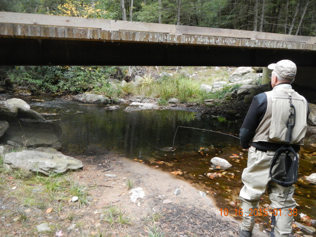 DSCN1552.jpg -                                