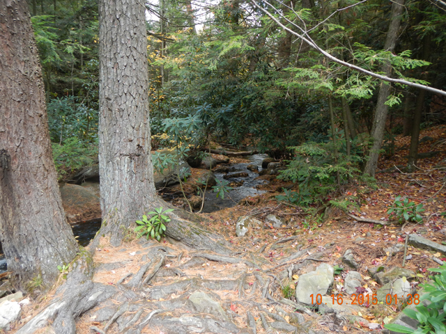 DSCN1553.jpg -                                