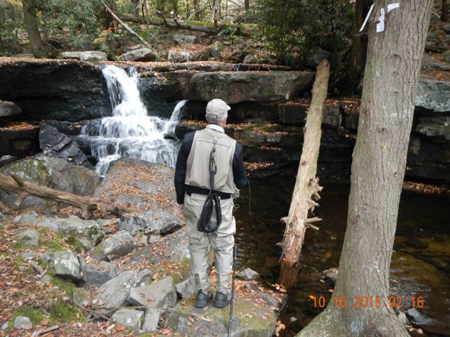 DSCN1554.jpg -                                