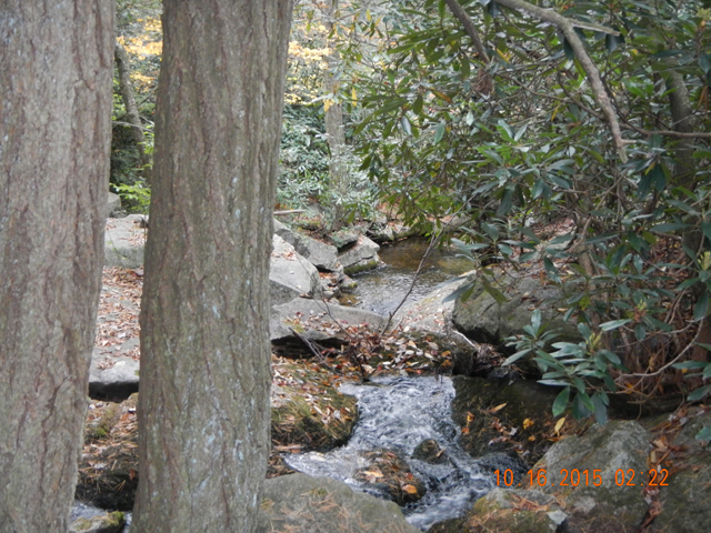 DSCN1555.jpg -                                