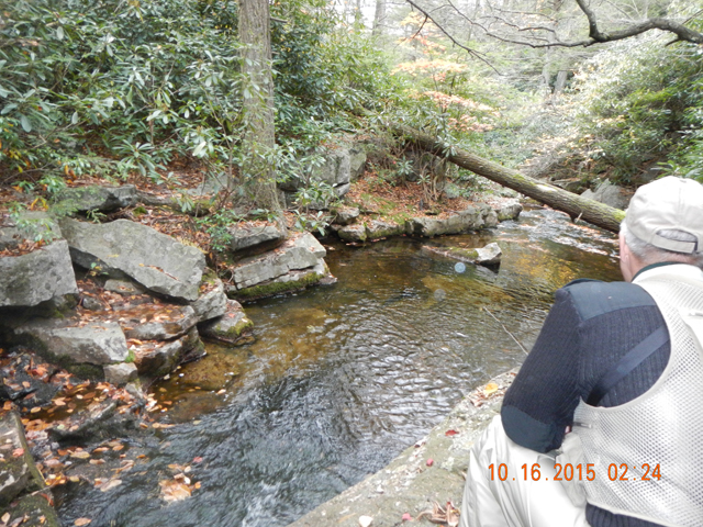 DSCN1557.jpg -                                