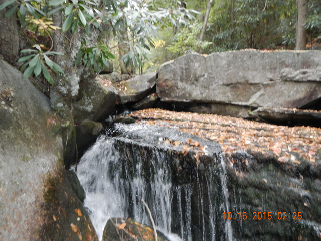 DSCN1558.jpg -                                