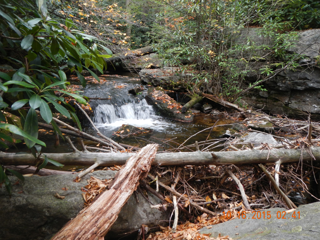 DSCN1561.jpg -                                