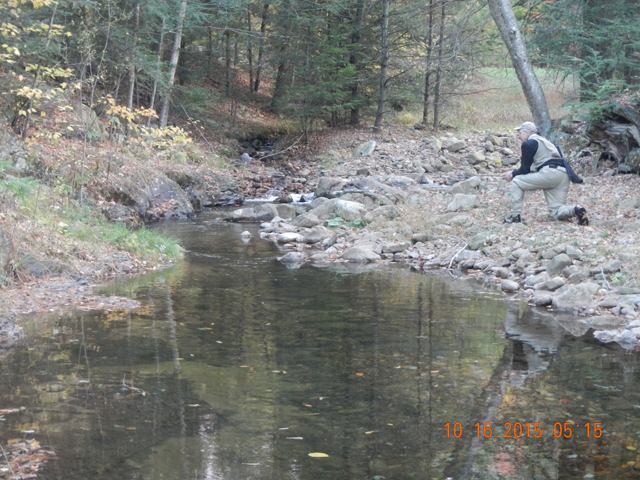DSCN1567.jpg -                                