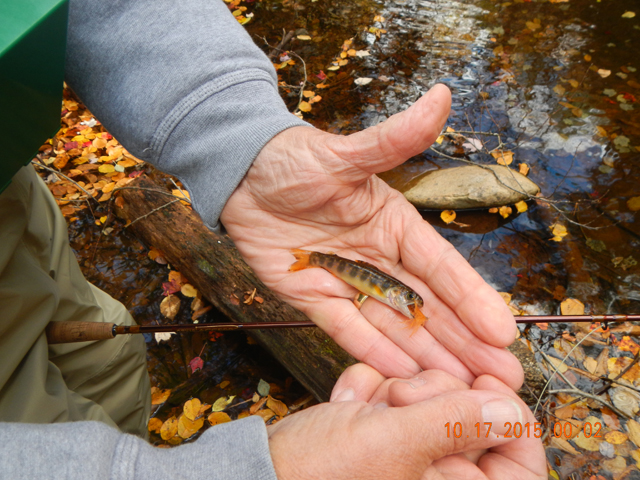 DSCN1568.jpg -                                