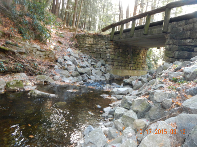 DSCN1572.jpg -                                
