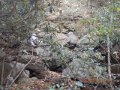 DSCN0717