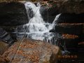 DSCN0724
