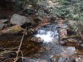 DSCN0728