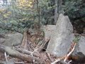 DSCN0729