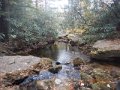 DSCN0734