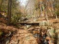DSCN0741