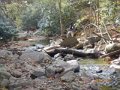 DSCN0745
