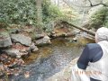 DSCN1557