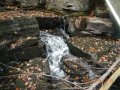 DSCN1560