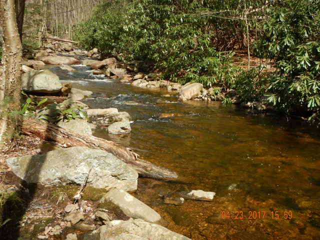 DSCN1903.jpg -       Spent the first afternoon on Hickory Run in Hickory Run State Park.  This stream has no shortage of wild brook trout.                         