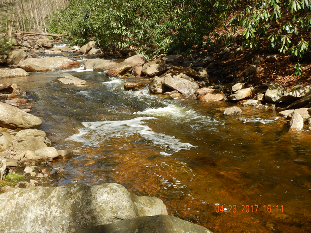 DSCN1905.jpg - Water levels were just about perfect in this run. Pools like this one always hold fish.                               