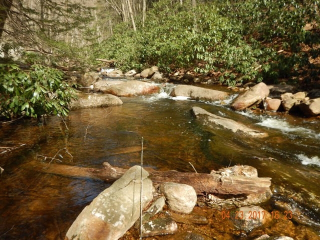 DSCN1908.jpg - Over hangs make the casting on a small stream like this one challenging...but well worth the effort.                              