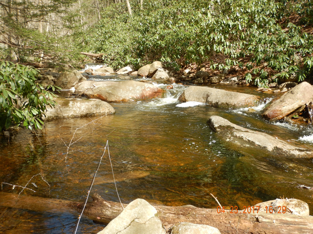 DSCN1910.jpg - This hole produced several fish.                               
