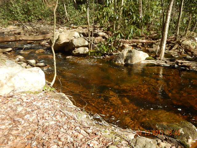 DSCN1913.jpg - Most of the streams in this area have a tanic appearance.  The fish don't seem to mind.                              