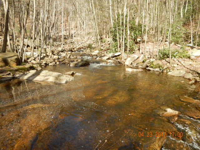 DSCN1921.jpg - One of the larger pools I found to fish.                               