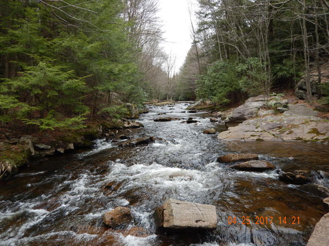 DSCN1931.jpg - Following day on Hayes Creek.  Weather was crappy but the pic fails to show that.  Temps cooled down and the drizzle started.  Fish were not cooperative.                               
