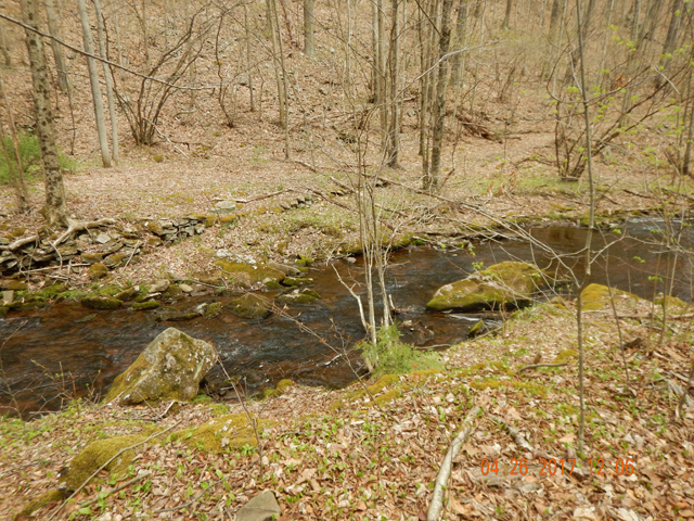 DSCN1934.jpg - Pockets, riffles and pools.                               