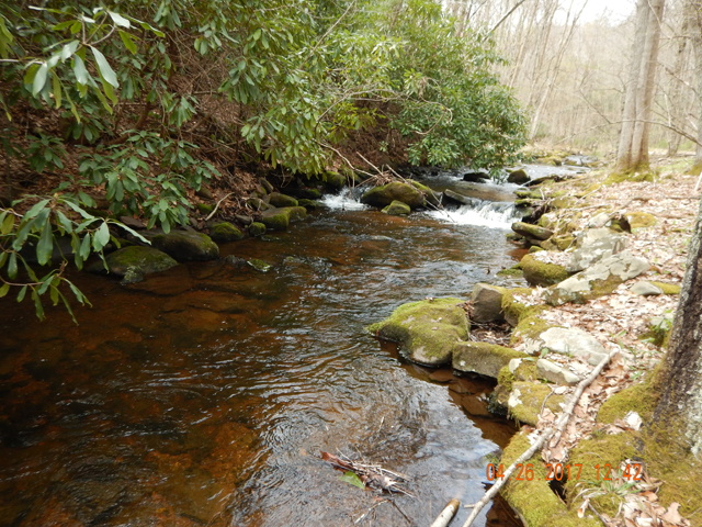 DSCN1938.jpg - And with areas like this is it any wonder.  I missed several more fish in this area.                               