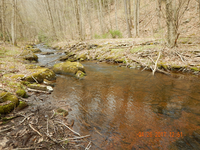 DSCN1941.jpg - I found one or two stretches on Leslie where you could put out a little line.                               