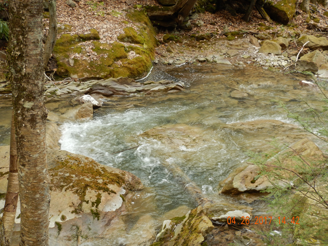 DSCN1951.jpg - It is a beautiful stream with falls and pools.  Maybe I just didn't spend enough time.                               