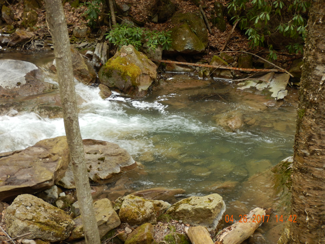 DSCN1952.jpg - Hard to believe there wouldn't be a fish in there.                               