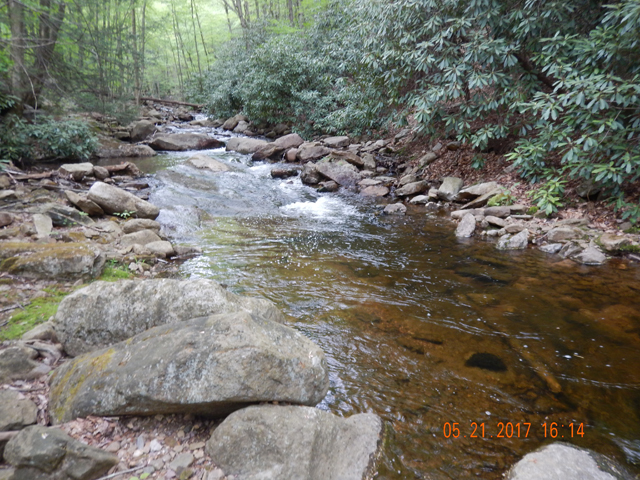 DSCN2064.jpg -                                Here is the run where the little guy was living.