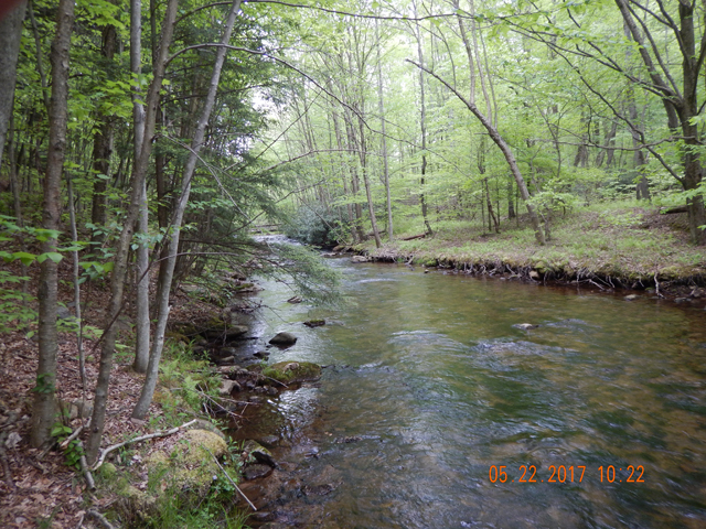 DSCN2069.jpg -                                The following day I hit the lower Hickory.  As noted, it gets wider because of the increased flow from Sand Springs Run.