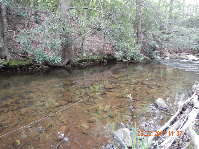 DSCN2076.jpg -                                This area does see some pressure so the fish are a bit spooky.