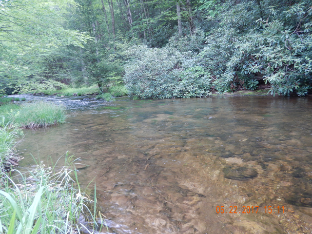 DSCN2079.jpg -                                And this stretch of stream was loaded with brookies. And, some of the most incredible hatches I have seen in a while.  All of that made the fish very selective.