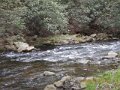 DSCN2077