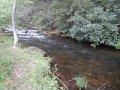 DSCN2085