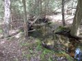 DSCN2101