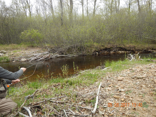 DSCN1967.jpg -                                Holes, undercuts and runs make this a fine stream for wild brookies.