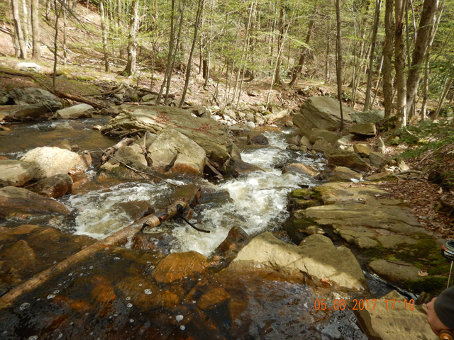 DSCN1977.jpg -                                Can't believe there are prettier streams than the ones in the Poconos.