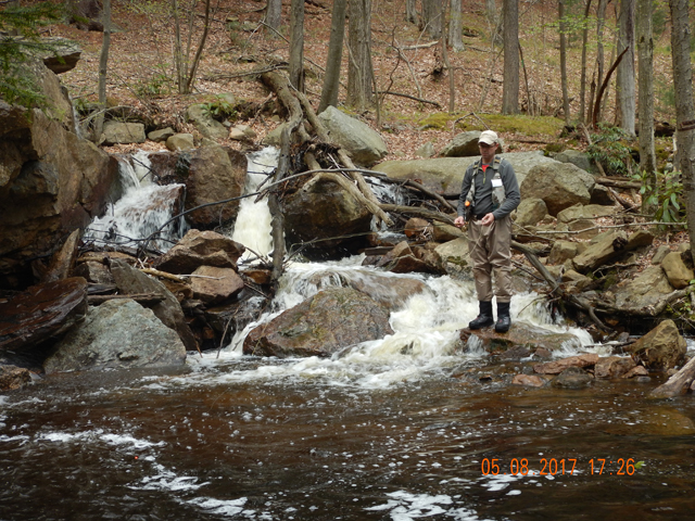 DSCN1983.jpg - The lake above the falls is stocked.  Probably a few of the stockers got washed down and survived the fall into the pool.                               