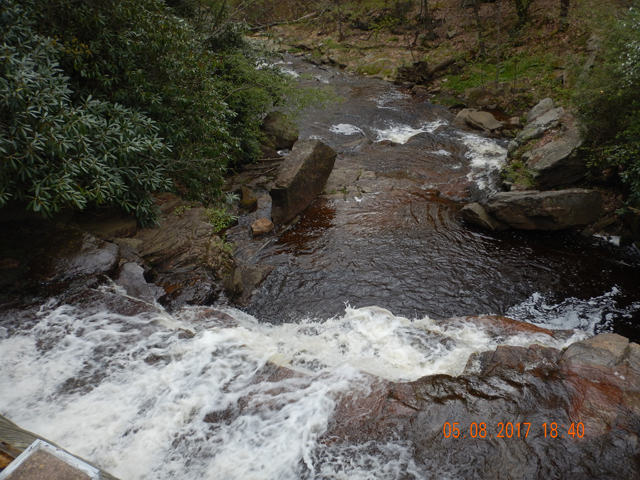 DSCN1989.jpg -                                