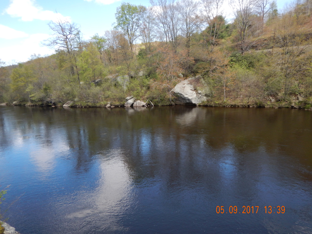 DSCN1997.jpg - With no luck at Sandy, we moved over to the Lehigh.  It was high but in this stretch I saw a rise and couldn't resist trying for a trout.                               