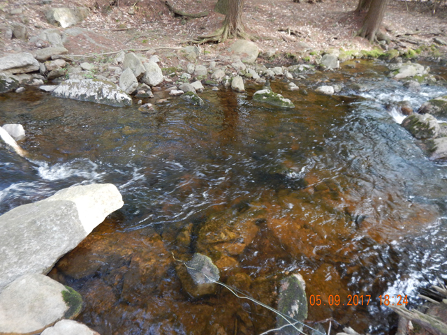 DSCN2015.jpg -                                That fish was taken from this run.