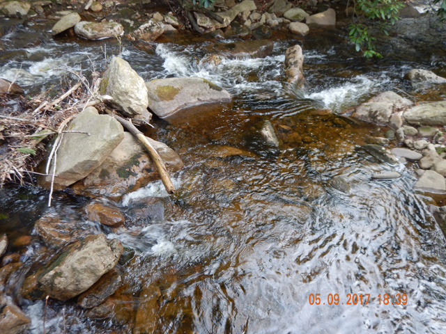 DSCN2018.jpg -                                Normally, these runs are gentler and fishing is easier.