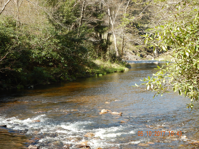 DSCN2023.jpg -                                Hawk Falls empties into Mudd Run.  A good stretch of this water downstream is private.  This part is public and gets a ton of pressure.