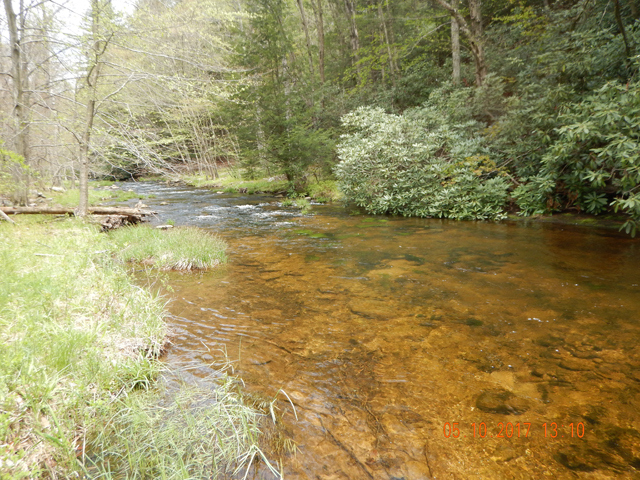 DSCN2030.jpg -                                There appeard to be more water but, in some places were the stream was wider, locations to cast.  No fish were rising but I got all the trout on dry flies.