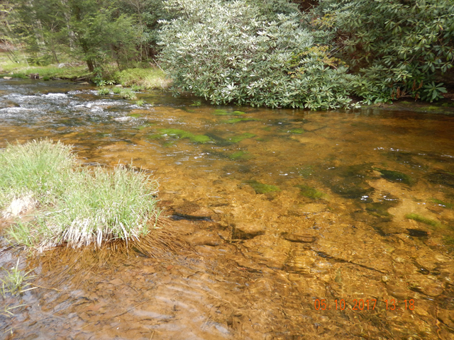 DSCN2032.jpg -                                This part of the stream is punctuated with runs and pools, but it is a bit wider that up above.