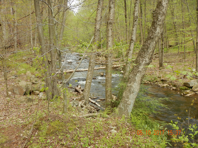 DSCN2040.jpg -                                I stopped here.  There is still a couple of miles of stream before this beauty hits the Lehigh River.